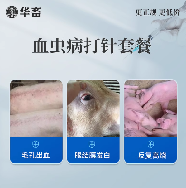 华畜兽用血虫病打针套餐