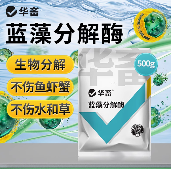 华畜蓝藻分解酶溶解蓝藻