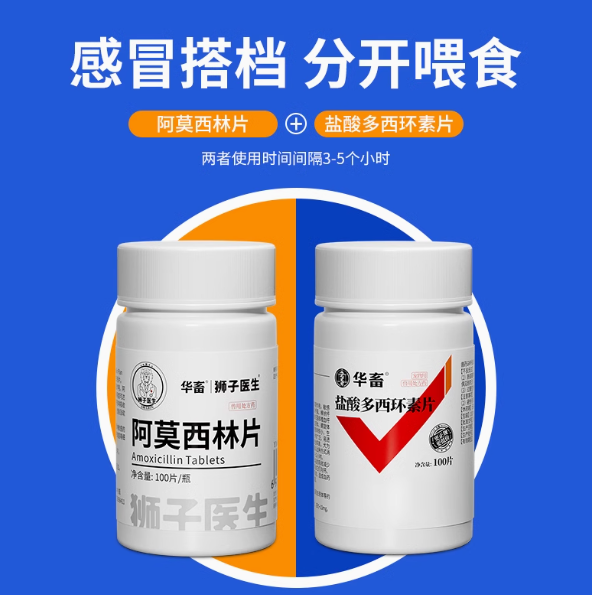 华畜阿莫西林猫咪感冒药