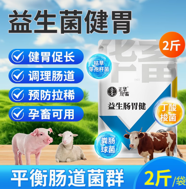 华畜兽用益生菌肠胃健