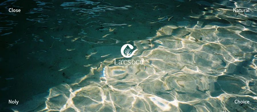 祝贺！省级泊亚（广东）生命科学研究院正式成立！