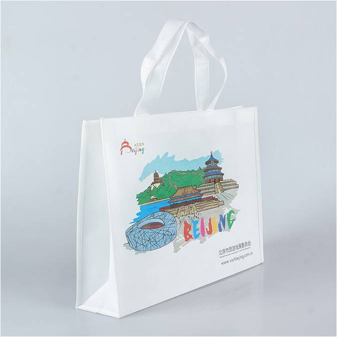 发展委员会定制胶印无纺布袋 宣传广告促销品 RD-814831