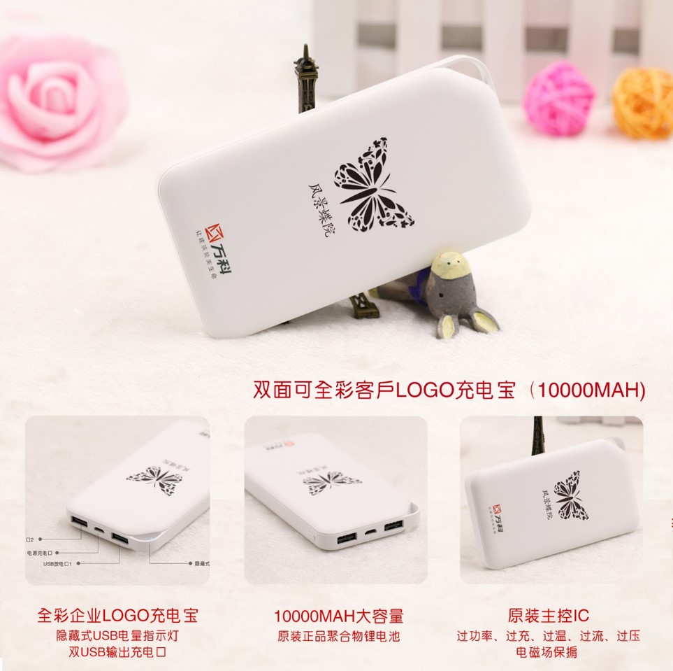 移动电源 大容量双USB输出口 双面可全彩logo定制 RD-833008