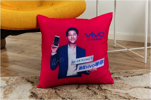 VIVO手机定制版抱枕RD-821816
