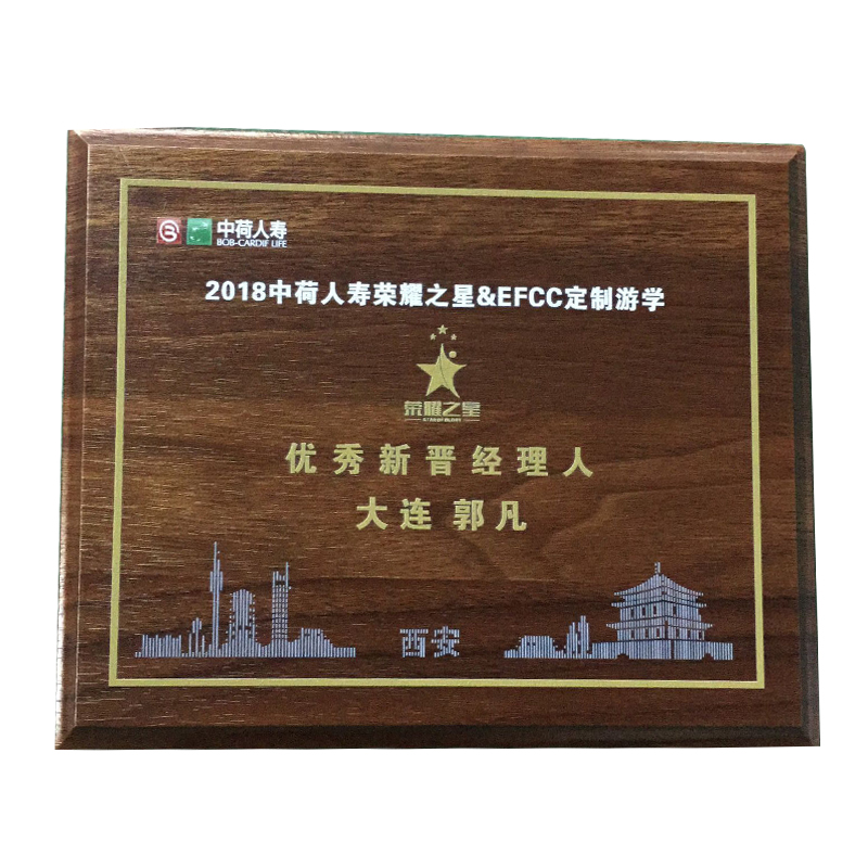 中荷人寿定制木质奖牌 高档荣誉木制奖牌RD-845617