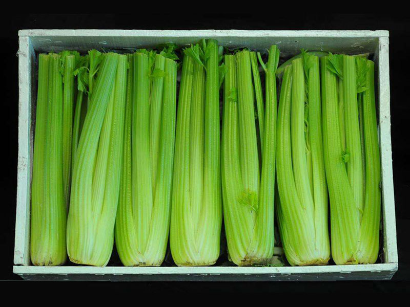 Celery