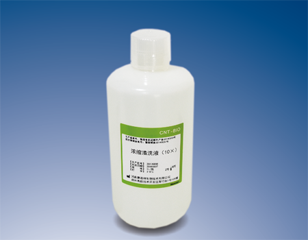 浓缩清洗液（10×）