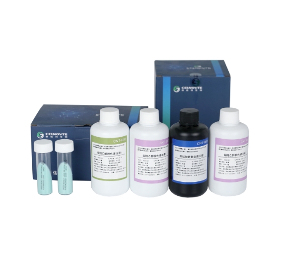 结核分枝杆菌培训及鉴定产品