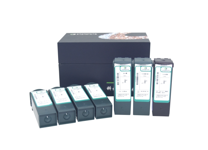 二抗试剂条(空瓶)