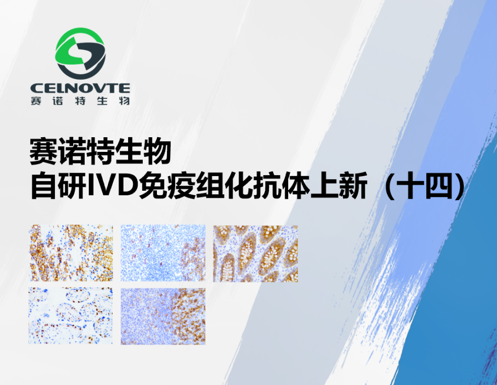 赛诺特新品发布：自主研发IVD免疫组化抗体上新（十四）