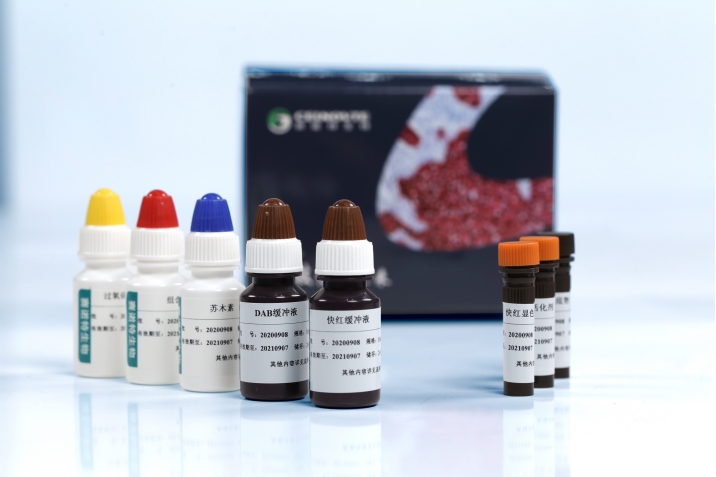 HRP-Magenta染色液