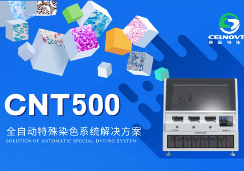 化繁为简，一键开启特殊染色新视界|CNT500全自动特殊染色解决方案