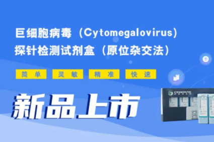 新品发布 | 全自动CISH产品—CMV原位杂交探针