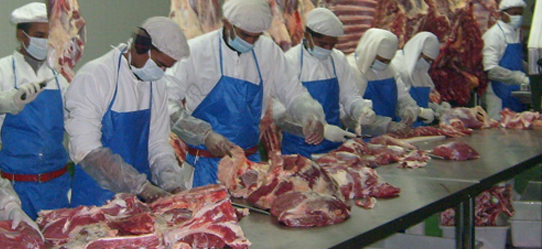  2024年印度班加罗尔肉类加工展览会 Meattech Asia【点击进入】