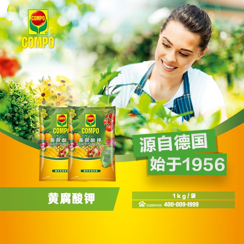 黄腐酸钾(固体)