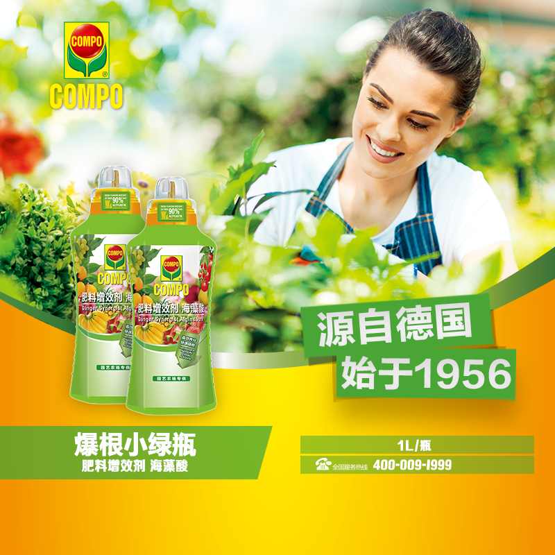 COMPO 爆根小绿瓶
