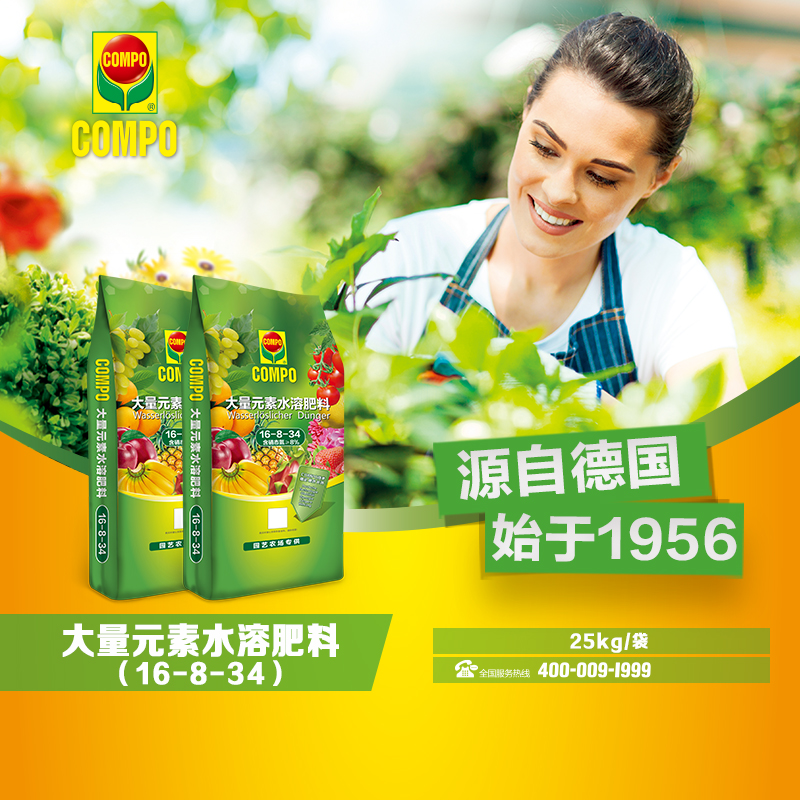 COMPO硝酸钾型水溶肥 16-8-34