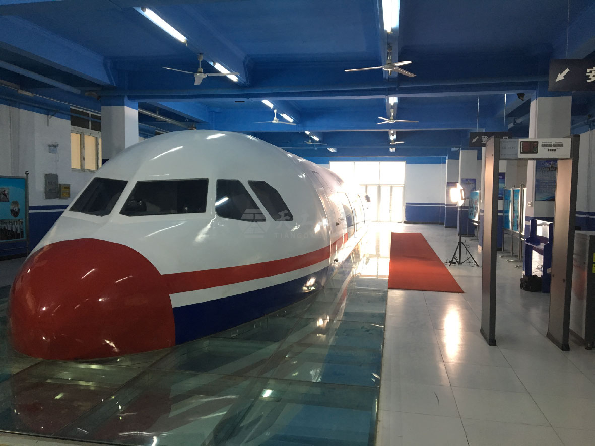 1比1飛機(jī)實(shí)訓(xùn)模型