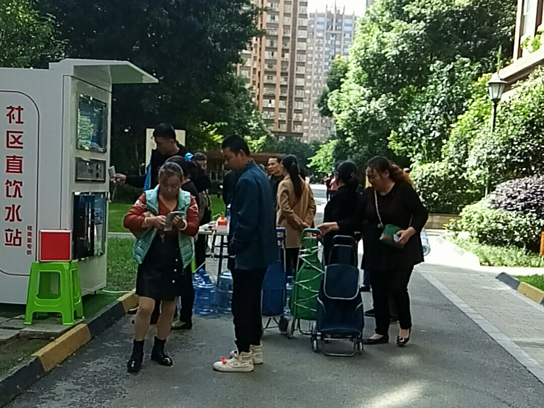 活动展示