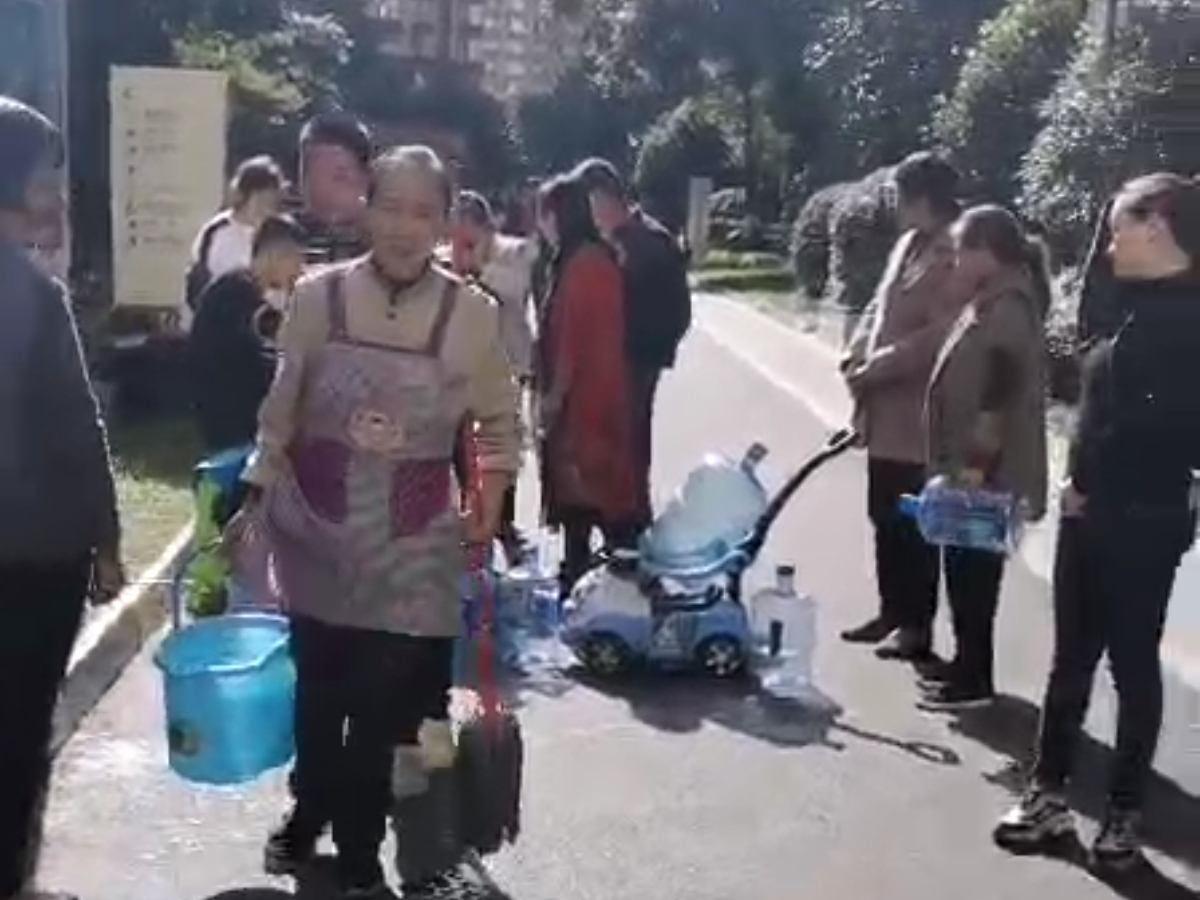 活动展示