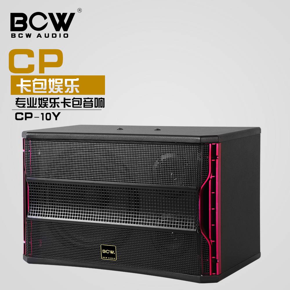 CP-10Y