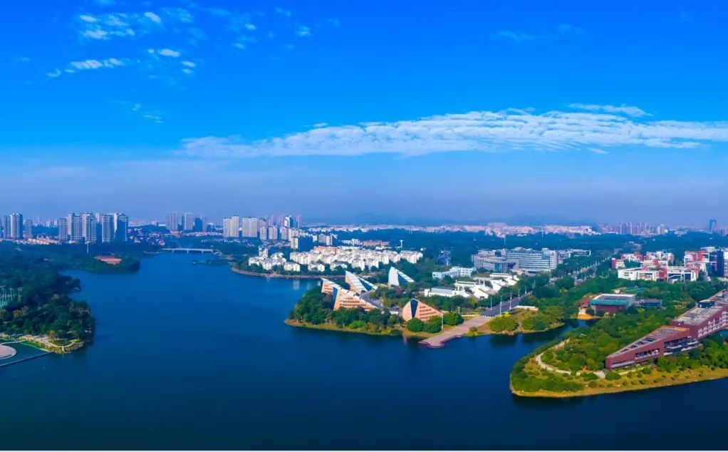 扶持资金超过2亿元！东莞加大对全市开放型经济的支持力度