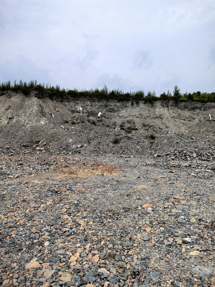 化险为赢：从一纸“解约函”看企业风险内控的决胜价值