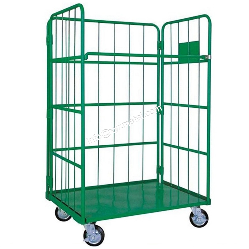 RC-09&nbsp;<span>Roll Cage</span>