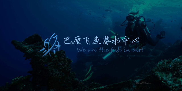 巴厘岛飞鱼潜水中心