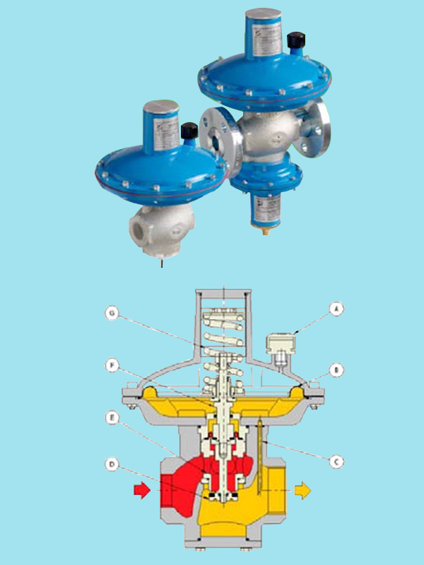 意大利进口Mondial