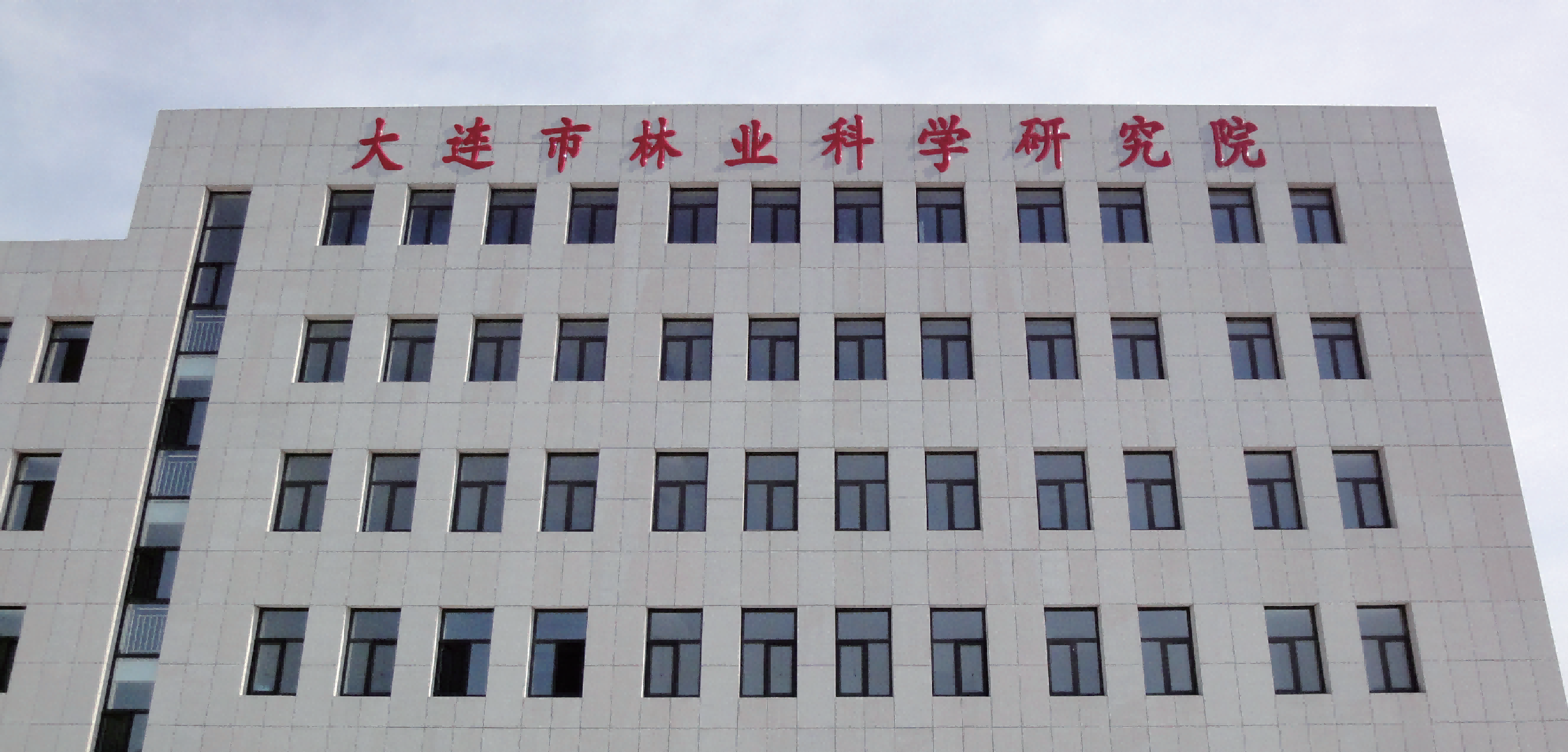 大连市林业科学研究所办公楼拆迁项目装饰装修工程