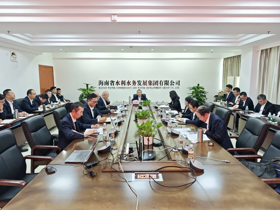 水电集团召开2024年度党组织书记抓基层党建工作述职评议考核会