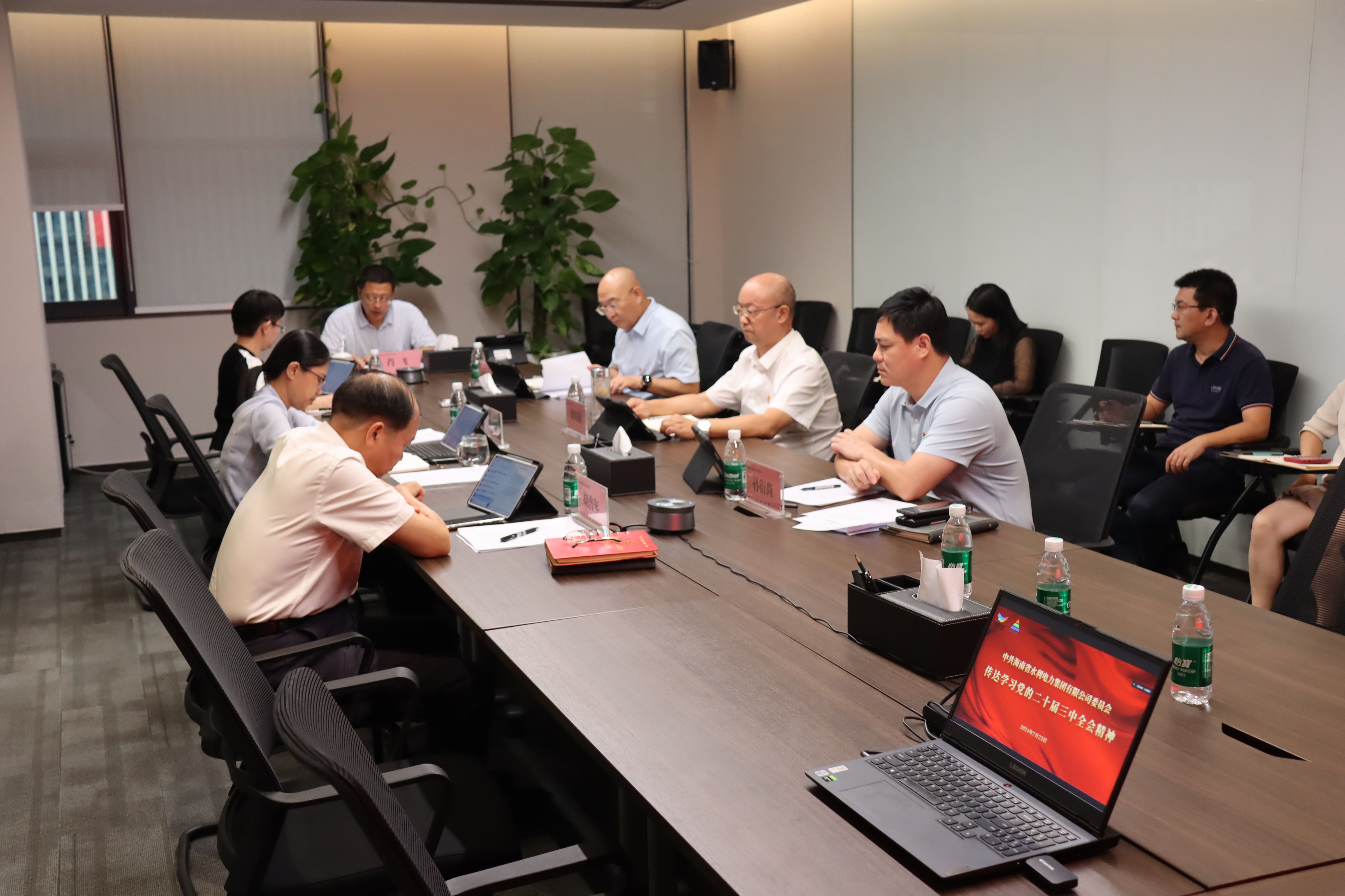 水电集团传达学习贯彻党的二十届三中全会精神
