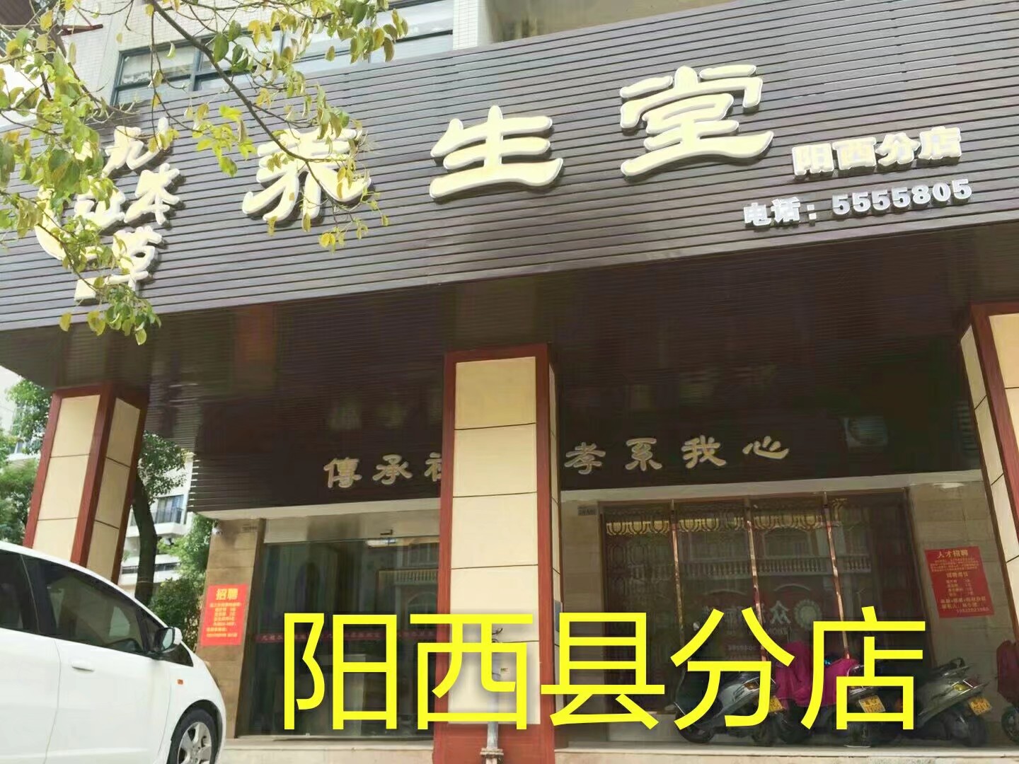 九祖本草阳西店