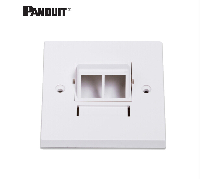 泛达（PANDUIT）双口斜口面板NKUKS2AW