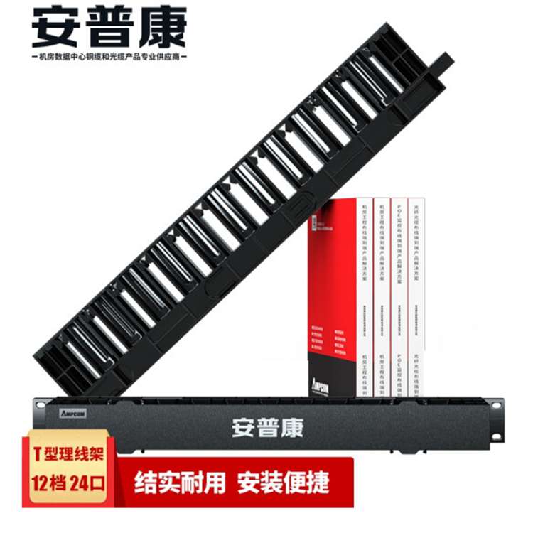 安普康AMPCOM 通用T型塑胶理线架加大12档24口 工程级加厚机柜网络线缆管理器 19英寸壁挂机柜布线 AM172786