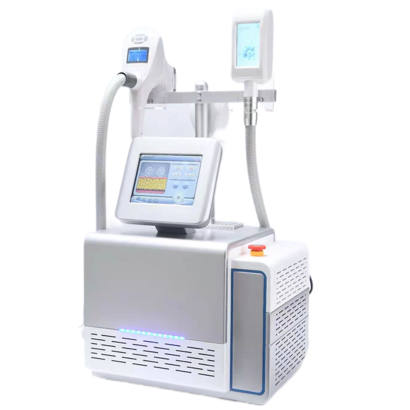 Vela Shape Cryolipolysis
