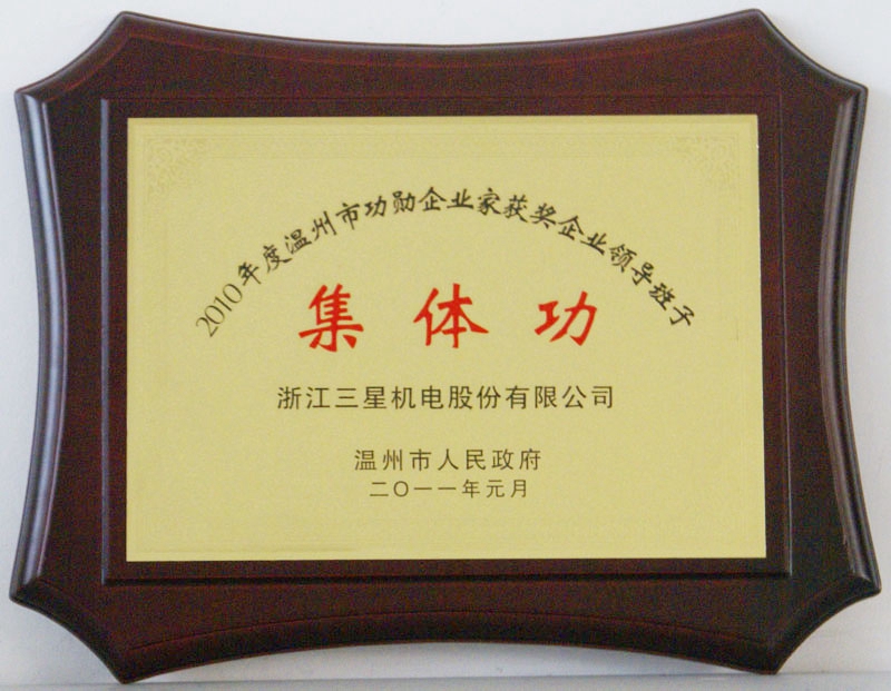 2010年度溫州市功勛企業(yè)家獲集體領(lǐng)導(dǎo)班子集體功2011.1