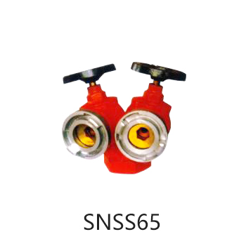 双阀双出口消火栓