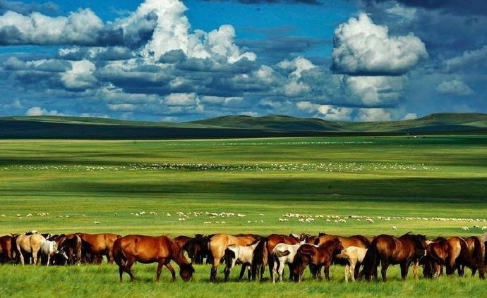 内蒙古兰太纳业有限责任公司二级纳提纯项目