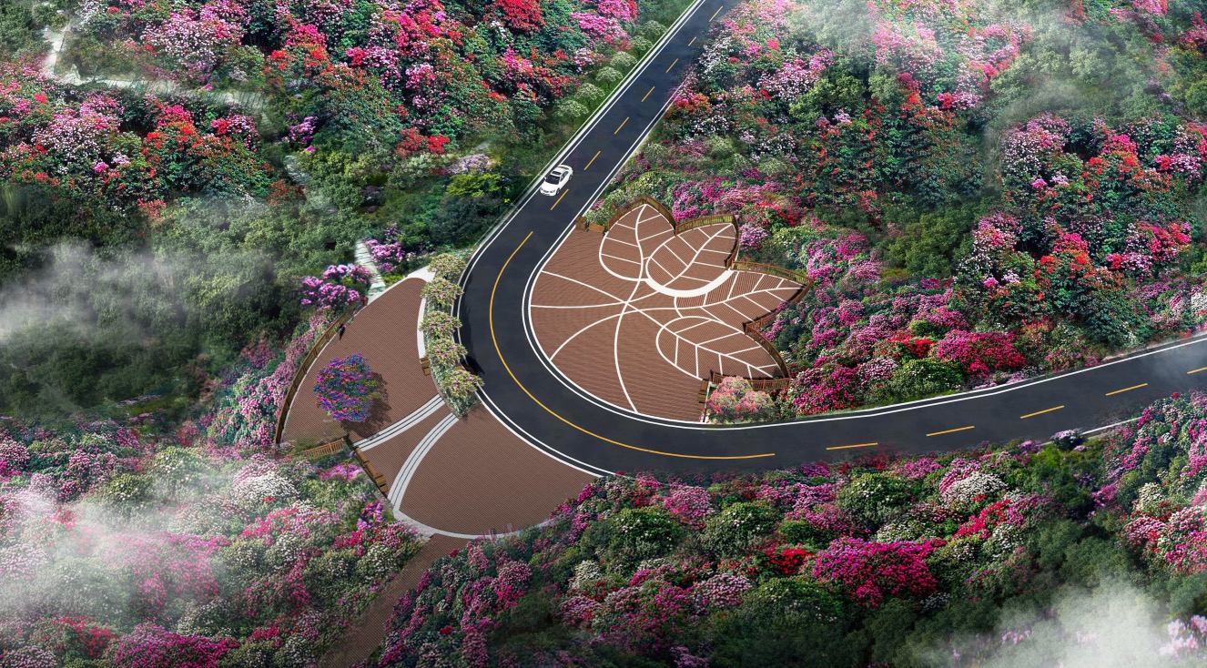 米仓山大峡谷森林康养项目