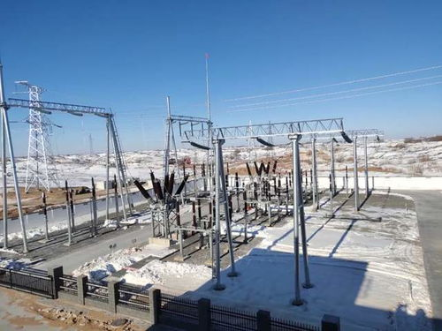 奈曼旗国隆新能源开发有限公司100WM风电供热项目