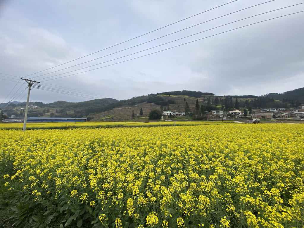 叙永县马岭镇、麻城镇等乡镇高标准农田建设