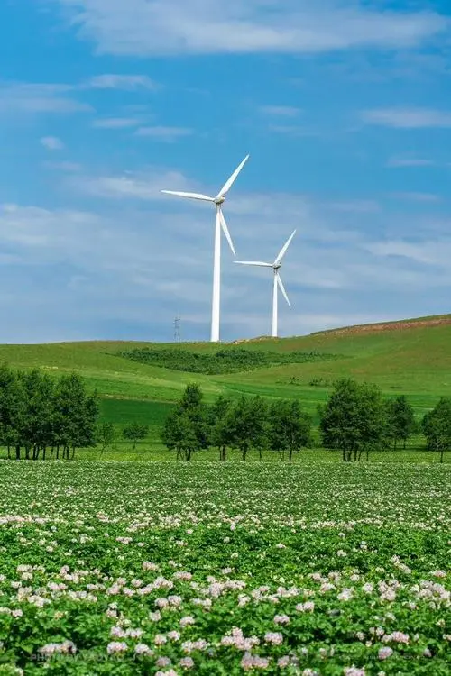 内蒙古自治区国家通用语言文字能力提升项目