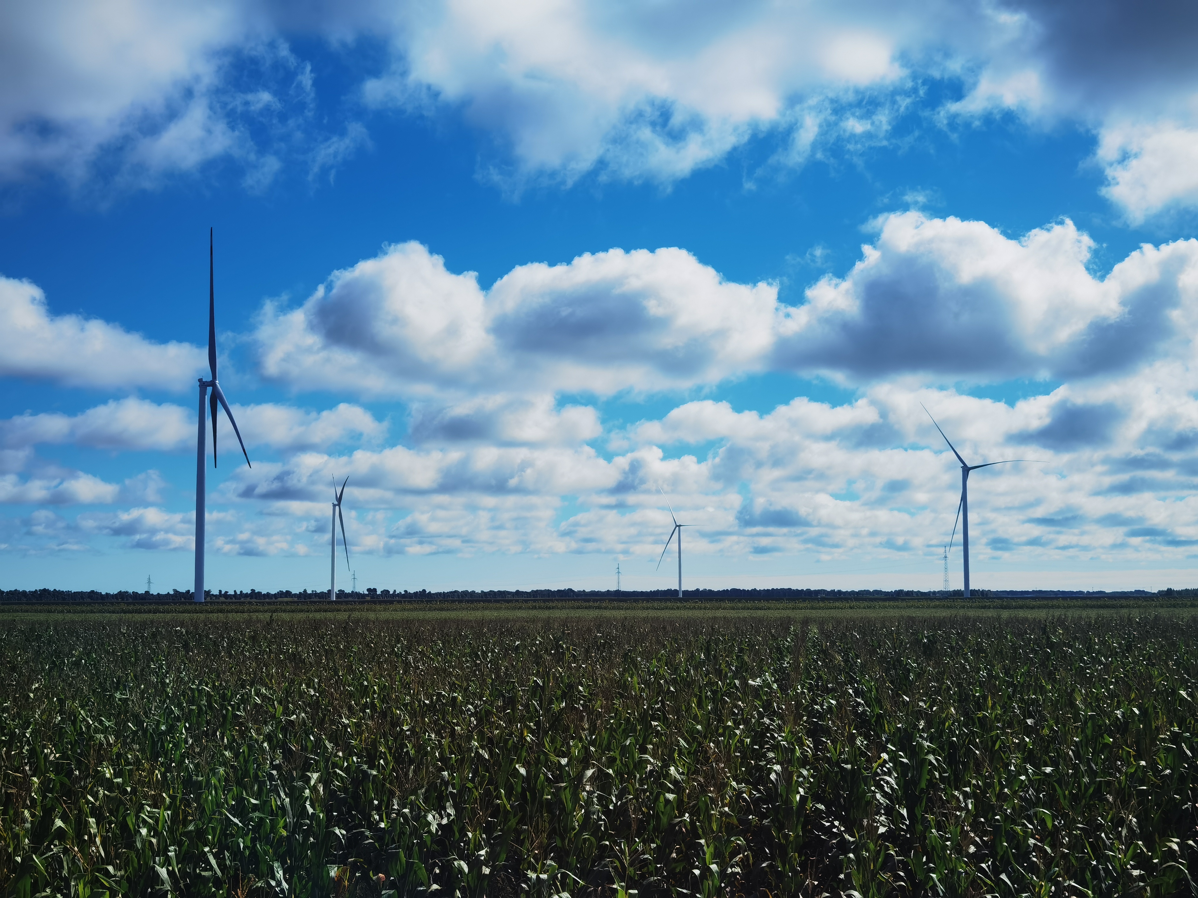 【动态】由中新凯瑞工程咨询有限公司监理的项目荣获中国电力优质工程证书