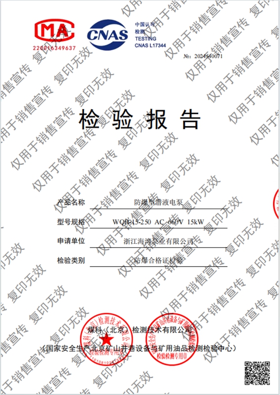 Inspection report