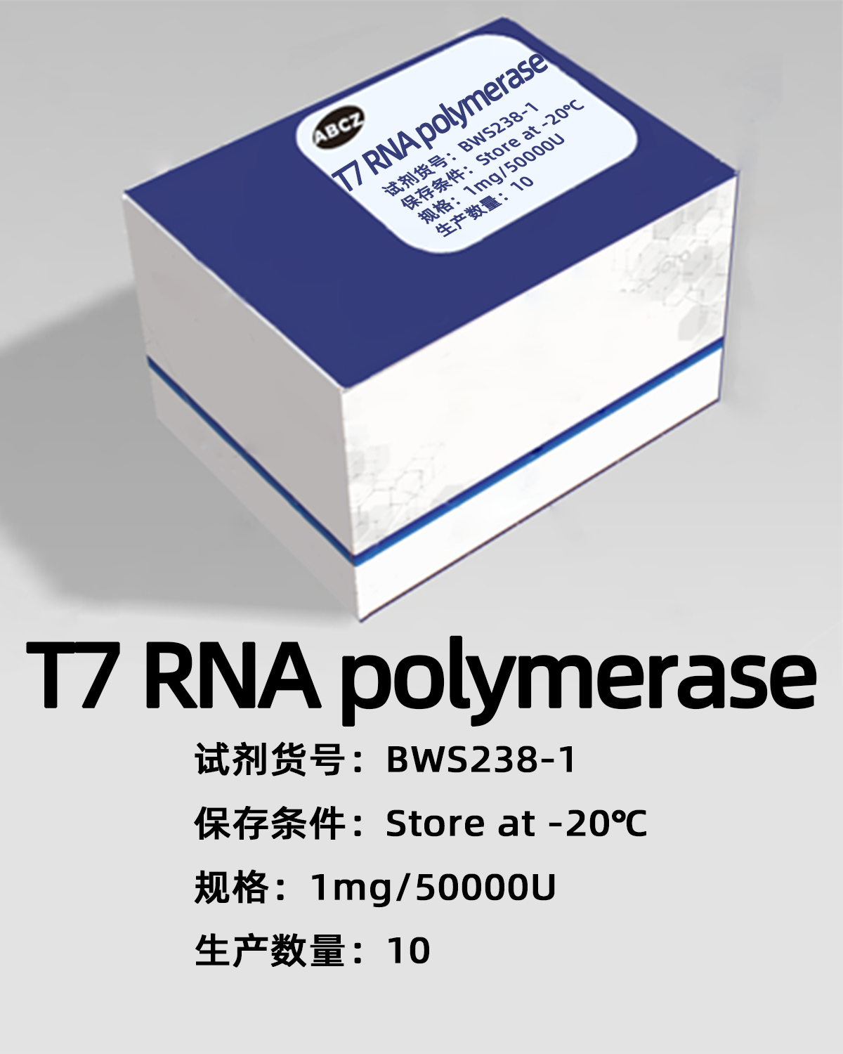 T7 RNA polymerase
