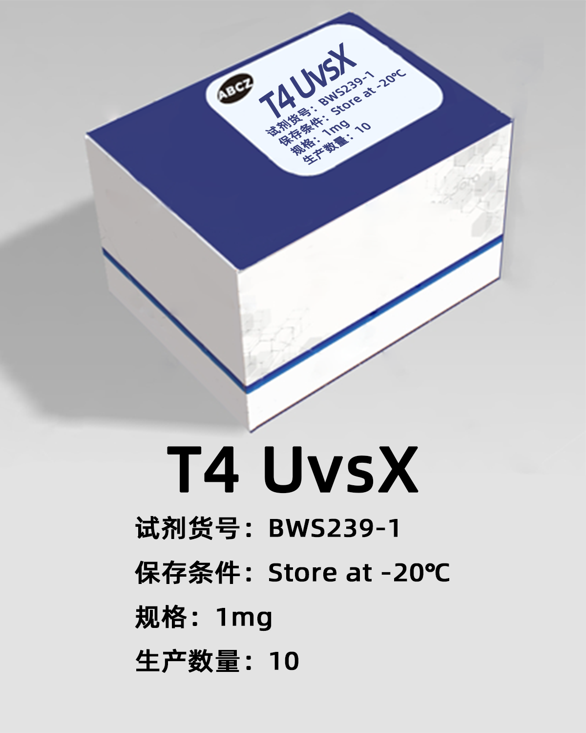 T4 UvsX