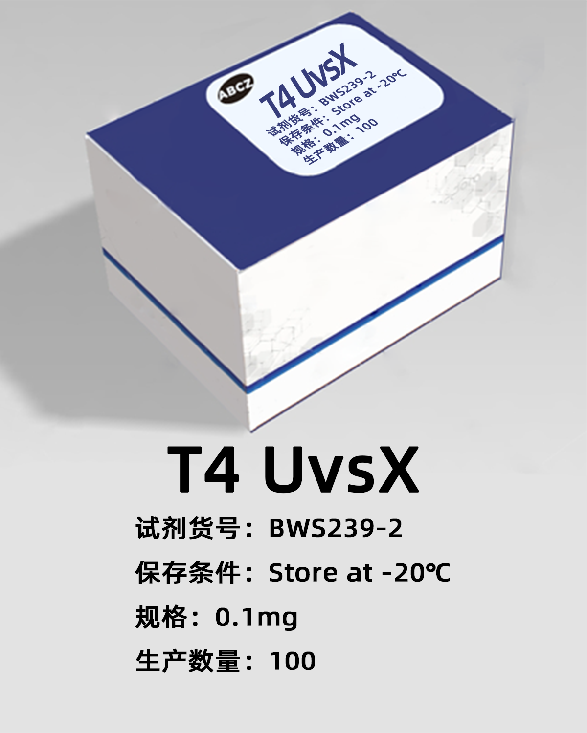 T4 UvsX