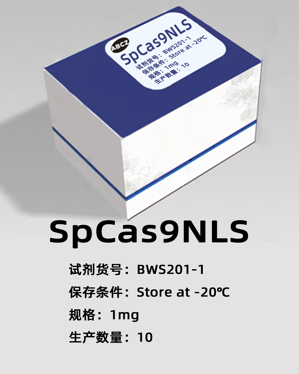 SpCas9NLS
